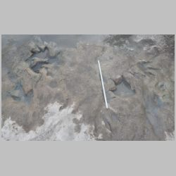 DSCN0658cr New tracks S end.jpg